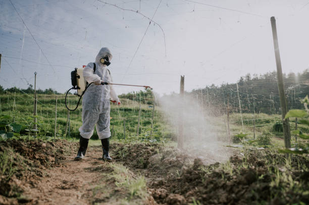 Best Best Pest Control Companies  in Logan, IA