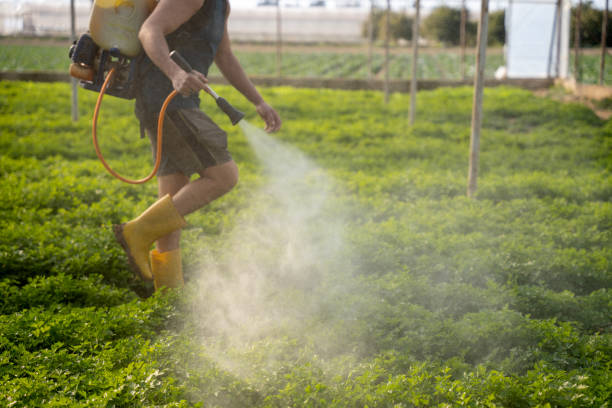 Best Mosquito Control Services  in Logan, IA